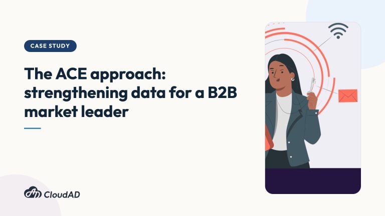 The ACE approach: strengthening data for a B2B market leader
